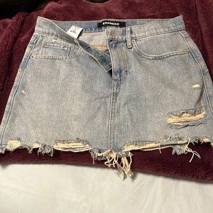 Express Mini Skirt